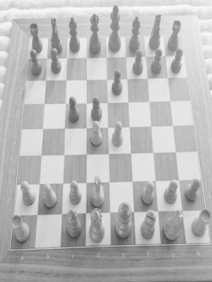 cover image of Prinzipien des Schachspiels